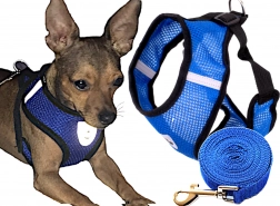 Harnais pour chiens sans pression avec laisse taille M – Bleu