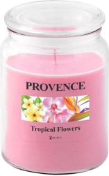 Bougie parfumée en verre PROVENCE fleurs tropicales 95 heures