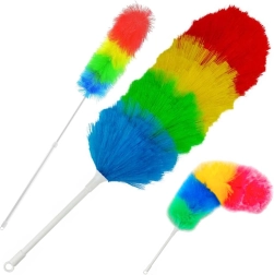 Brosse télescopique à poussière