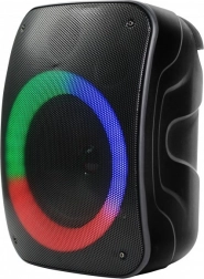 Haut-parleur Bluetooth Stage 300