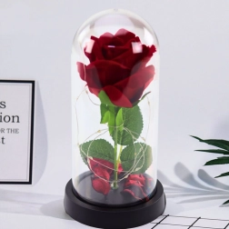 Rose éternelle sous dôme avec éclairage LED rouge