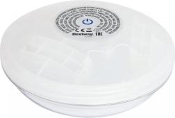 Lampe LED flottante pour piscine à piles BESTWAY
