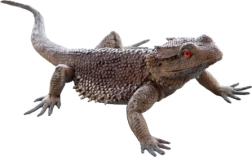 Lézard en plastique – figurine réaliste pour enfants