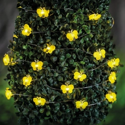 Guirlande lumineuse LED solaire avec abeilles, 2,4 m, 25 LED, blanc chaud