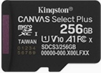 Carte mémoire microSD 256GB Canvas Select+