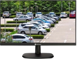Moniteur IPS FHD 23,8'' noir avec VGA et HDMI