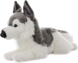 Husky en peluche 43 cm