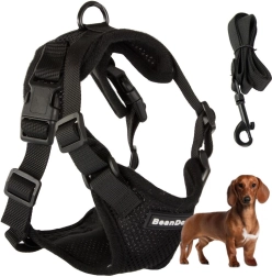 Harnais respirant sans pression pour petits chiens, taille M, noir avec laisse