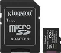 Carte mémoire microSD 256 Go Canvas Select+ avec adaptateur
