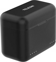 Chargeur double Telesin avec logement pour cartes pour INSTa360 X4