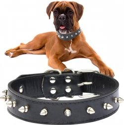 Collier pour chien réglable en cuir éco avec rivets, taille L