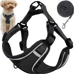Harnais anti-traction de sécurité pour petits chiens et chats avec laisse 150 cm, taille M