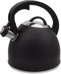 bouilloire pour cuisinière 2,5 l MAESTRO
