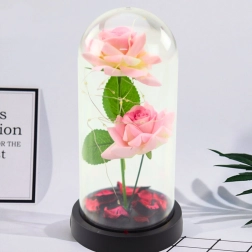 Roses éternelles sous cloche avec éclairage LED et pétales roses