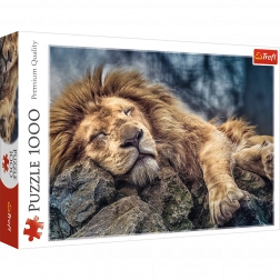 Puzzle 1000 pièces Lion endormi