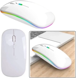 Souris ergonomique sans fil blanche