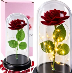 Rose rouge éternelle sous cloche en verre avec éclairage LED