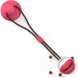 Jouet pour chien interactif avec ventouse et balle à friandises