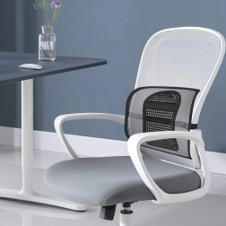 Support dorsal orthopédique