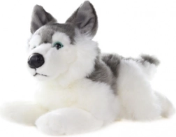 Husky en peluche 34 cm