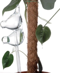 Boules d’arrosage automatiques en verre pour pots de fleurs – oiseaux, lot de 2