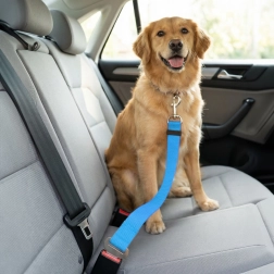 Laisse de sécurité pour chien pour ceinture de sécurité, 45–70 cm - 1 pièce