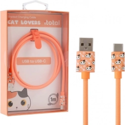 câble de charge USB‑C avec chat orange