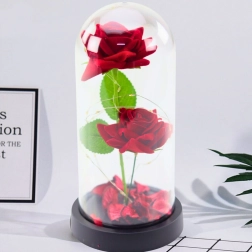 Roses éternelles sous cloche avec éclairage LED