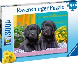 Ravensburger puzzle Puppy Life 300 pièces