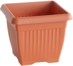 Pot carré 15 × 15 cm, hauteur 13 cm