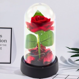 Rose éternelle sous cloche avec éclairage LED