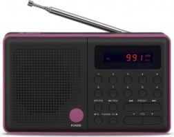 Radio Pliszka USB FM noir