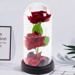 Roses éternelles sous cloche avec éclairage LED, rouges 21x11 cm