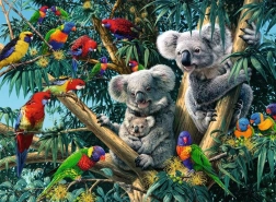 Koalas dans l’arbre 500 pièces