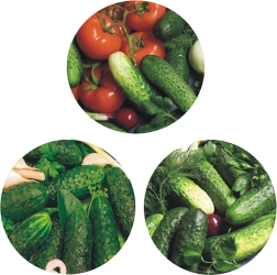 Lot de couvercles métalliques pour bocaux de conserve Ø 66 avec 4 ergots – motif cornichon (10 pcs)