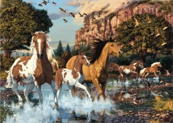 Puzzle Chevaux cachés 1000 pièces – Secret Collection