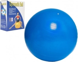 Ballon de gymnastique 65 cm pour l’entraînement et la rééducation