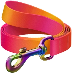 Laisse pour chiens WAUDOG en nylon dégradé, orange