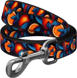Laisse pour chien en nylon motif Oranges 122 cm Waudog