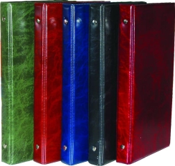 Porte-cartes A5 pour 80 cartes de visite, brillant, assortiment avec index