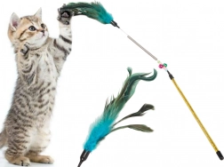 Jouet pour chats avec plumes et grelot
