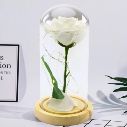 Rose blanche éternelle sous cloche en verre avec éclairage LED