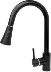 Robinet de cuisine Renew Force avec bec orientable extractible