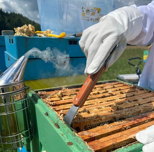 Lame en inox résistante