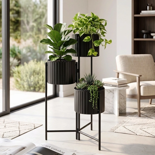 Trois niveaux pour une présentation impressionnante des plantes
