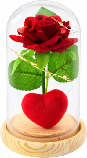 Cloche protectrice en verre