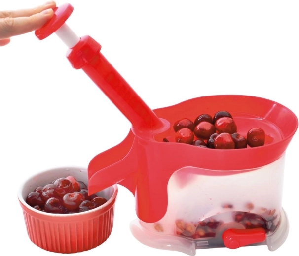 Retrait des noyaux rapide et propre