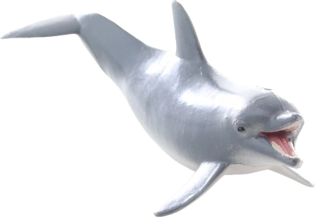 Taille idéale pour les petites mains