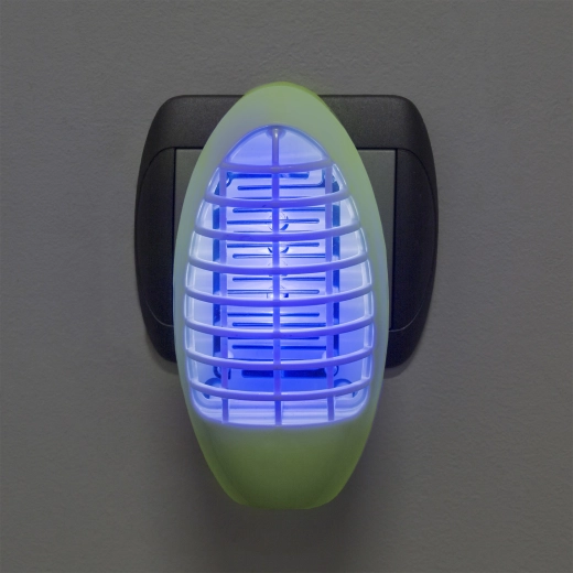 La lumière UV attire les petits insectes
