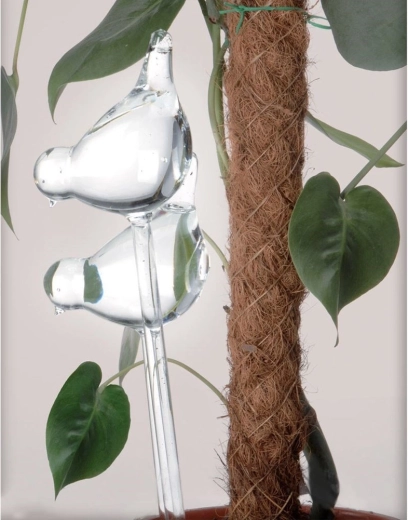 Installation facile dans tout pot de fleurs